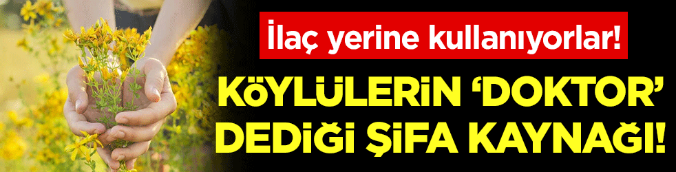 İlaç yerine kullanıyorlar: Köylülerin 'doktor' dediği şifa kaynağı! 