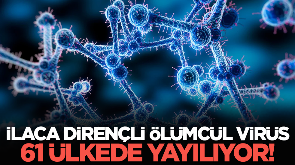 İlaca dirençli ölümcül virüs 61 ülkede yayılıyor!