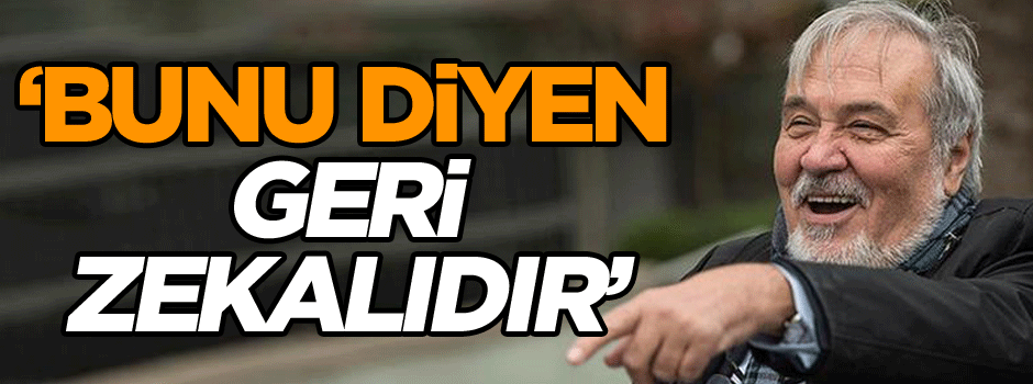 İlber Ortaylı: Bunu diyen geri zekalıdır