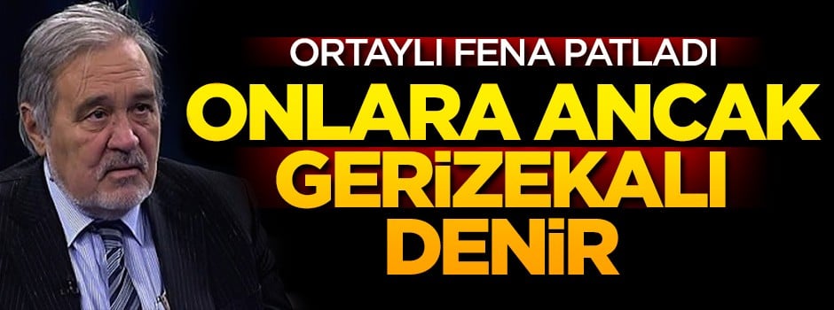 İlber Ortaylı fena patladı: Onlara ancak gerizekalı denir