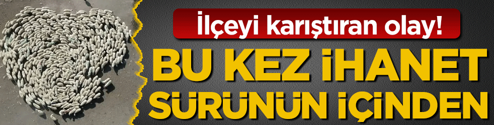 İlçeyi karıştıran olay: Bu kez ihanet sürünün içinden geldi!