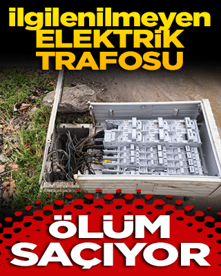 İlgilenilmeyen elektrik trafosu ölüm saçıyor