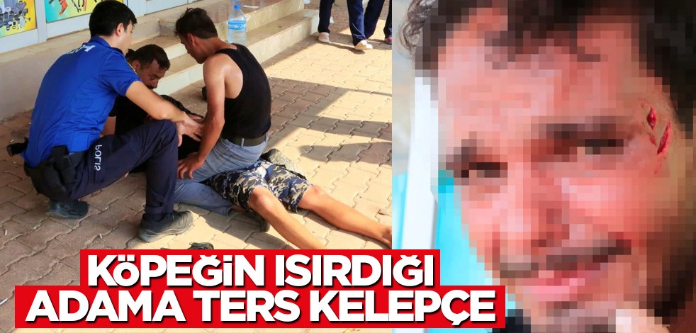 İlginç olay: Köpeğin ısırdığı adama ters kelepçe