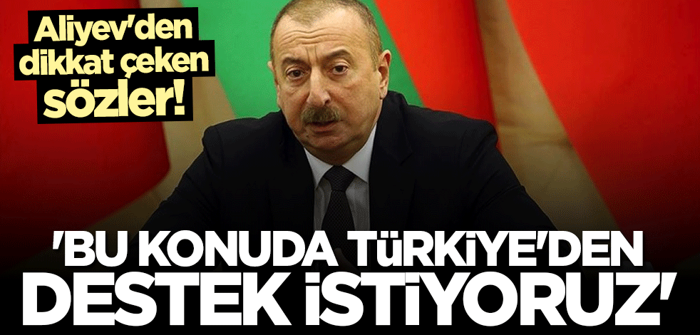 İlham Aliyev: Bu konuda Türkiye'nin desteğini istiyoruz