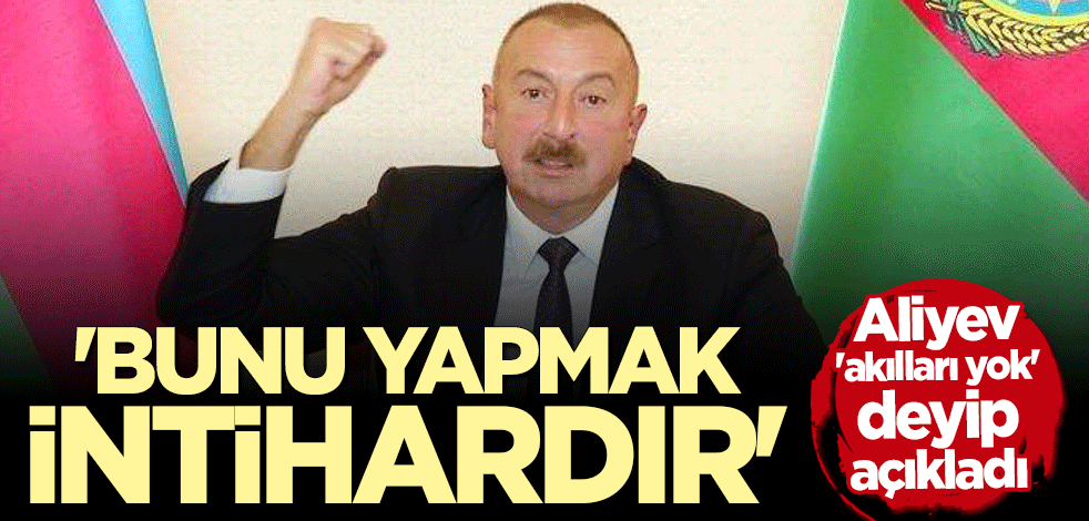 İlham Aliyev: Bunu yapmak intihardır