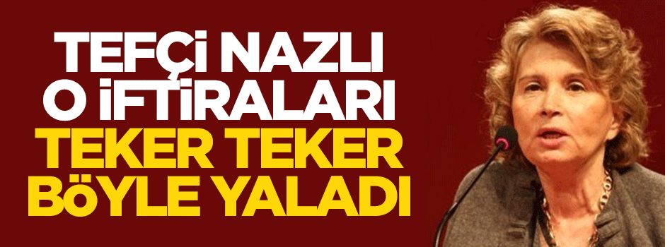 Ilıcak, iftiralarını böyle yaladı