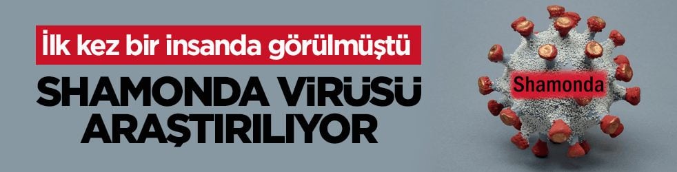 İlk kez bir insanda görülmüştü! DSÖ, Shamonda virüsünü araştırıyor