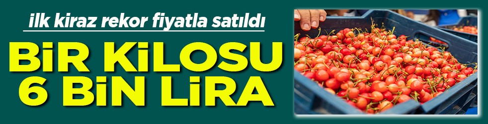 İlk kiraz rekor fiyatla satıldı Bir kilosu 6 bin lira