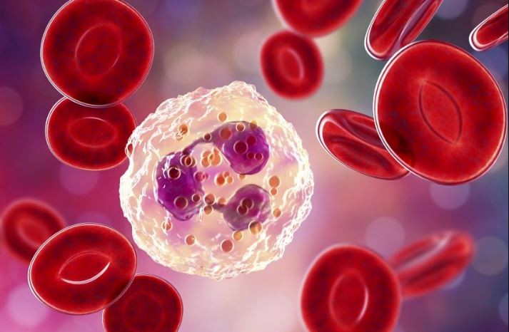 İltihaba neden olan yiyecekler