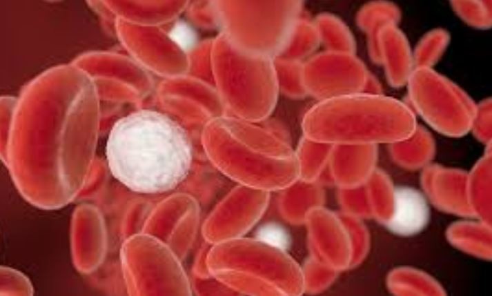 İltihabı önleyen besinler