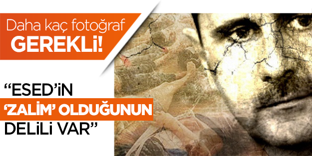 İmadeddin er-Reşid: "Elimizde Esed'in işlediği suçların delilleri var"