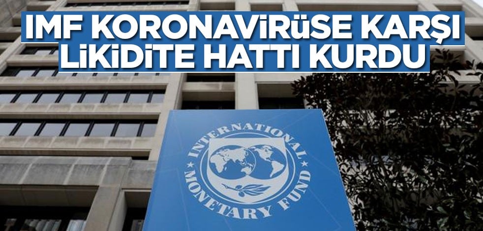 IMF koronavirüse karşı likidite hattı kurdu