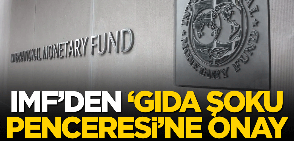 IMF'den 'Gıda Şoku Penceresi'ne onay