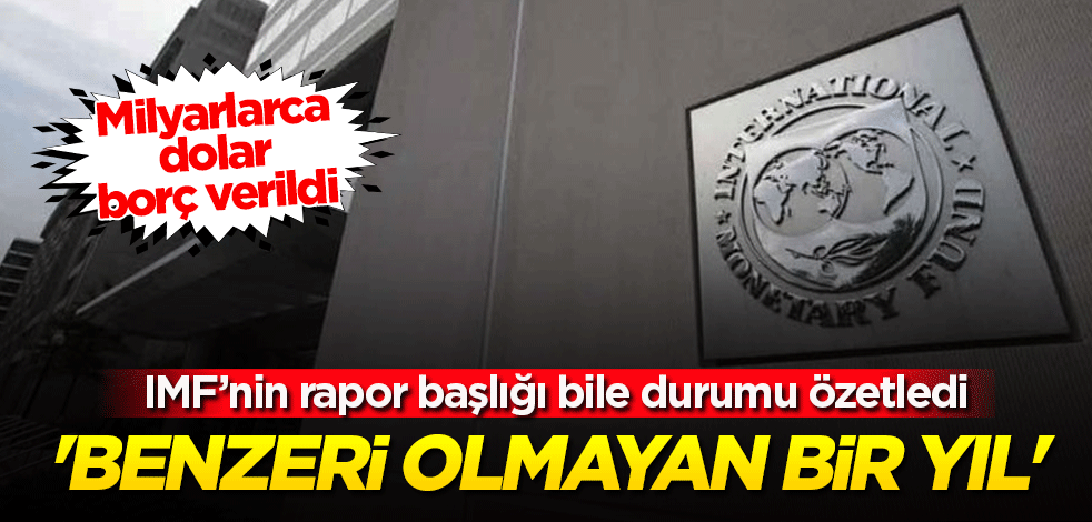 IMF'in 2020 yılı raporuna 'Benzeri Olmayan Bir Yıl' adı verildi