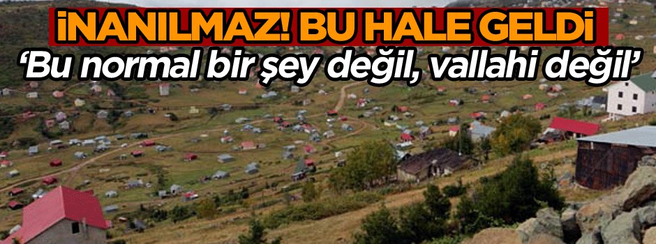 İnanılmaz! Bu hale geldi! ‘Bu normal bir şey değil, vallahi değil’