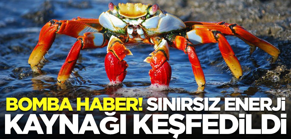 İnanılmaz buluş! Bilim insanları sınırsız enerji kaynağını buldu