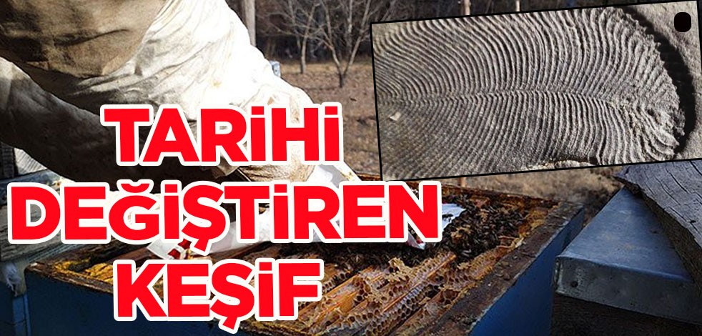 İnanılmaz keşif haberi! Böylesi görülmedi: Tarihi değiştiren arı kovanı izi çıktı, yeni sırlar keşfedildi