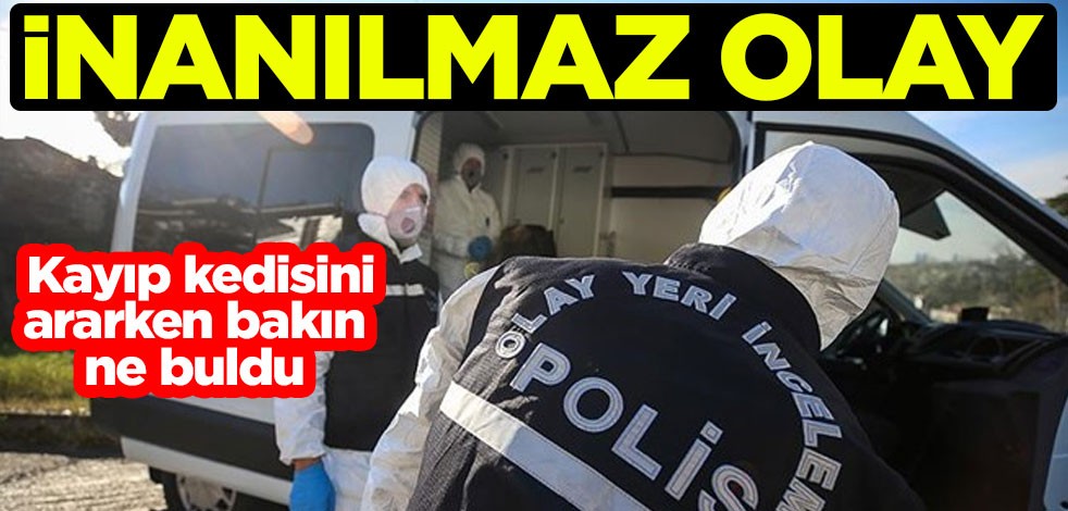 İnanılmaz olay! Kayıp kedisini ararken bakın ne buldu