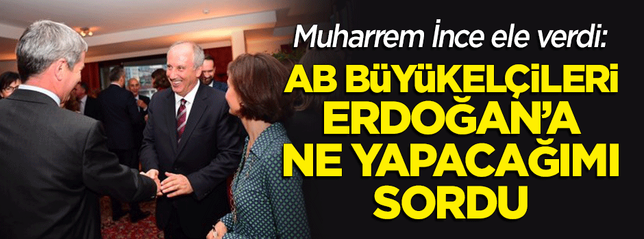 İnce: AB Büyükelçileri, Erdoğan'a ne yapacağımı sordu