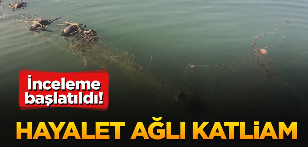 İnceleme başlatıldı! Hayalet ağlı katliam