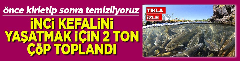 İnci kefalini yaşatmak için 2 ton çöp toplandı