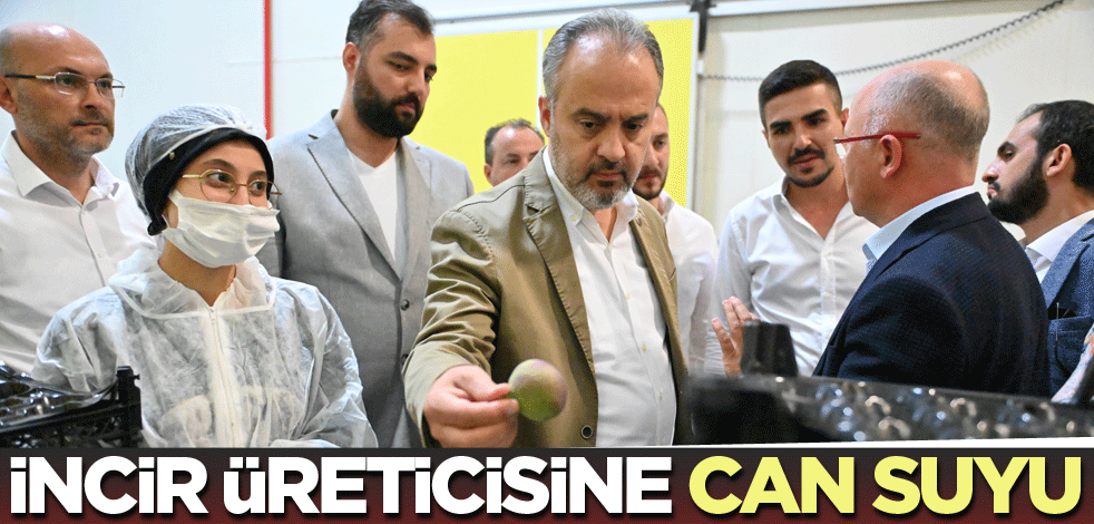 İncir üreticisine can suyu