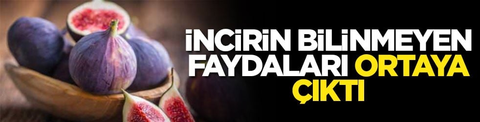 İncirin bilinmeyen faydaları ortaya çıktı!