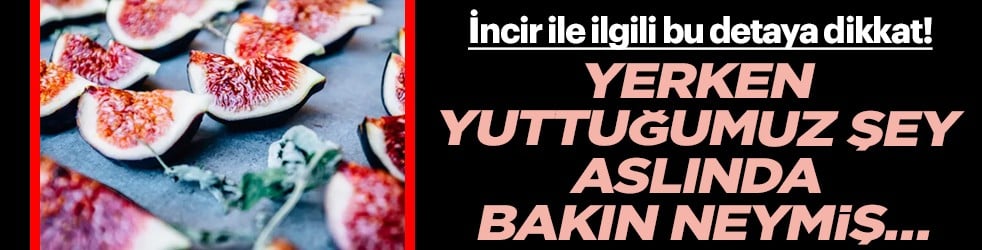 İncirlerin i&ccedil;inde hakikaten ne var? Yerken yuttuğumuz şey aslında bakın neymiş&hellip;