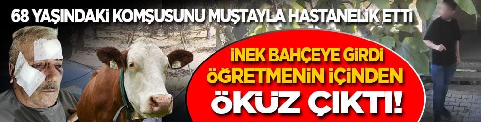İnek bahçeye girdi, öğretmenin içinden öküz çıktı! 68 yaşındaki komşusunu muştayla hastanelik etti