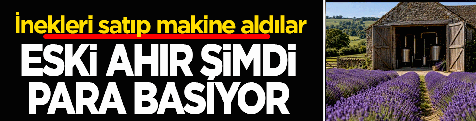 İnekleri satıp makine aldılar: Eski ahır şimdi para basıyor