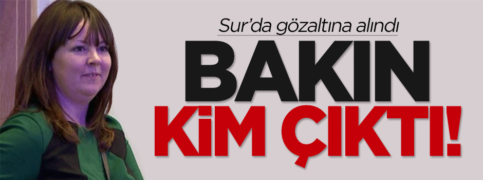 İngiliz parlamenter Sur'da gözaltına alındı