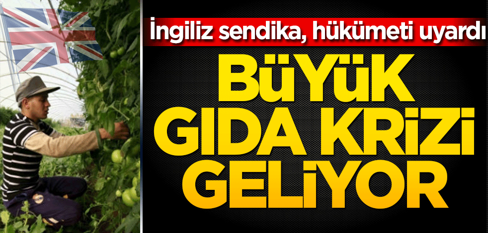 İngiliz sendika hükümeti uyardı! 'Gıda krizi' geliyor