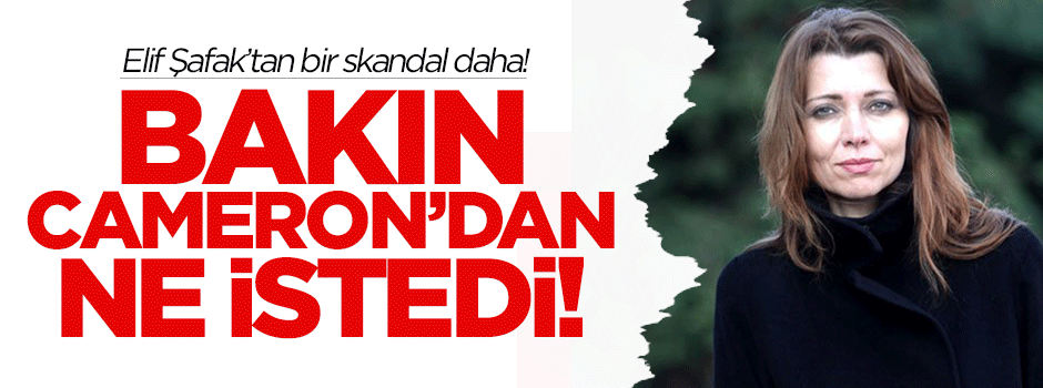 İngiliz yazarlar Cameron'dan Türkiye'yi uyarmasını istedi