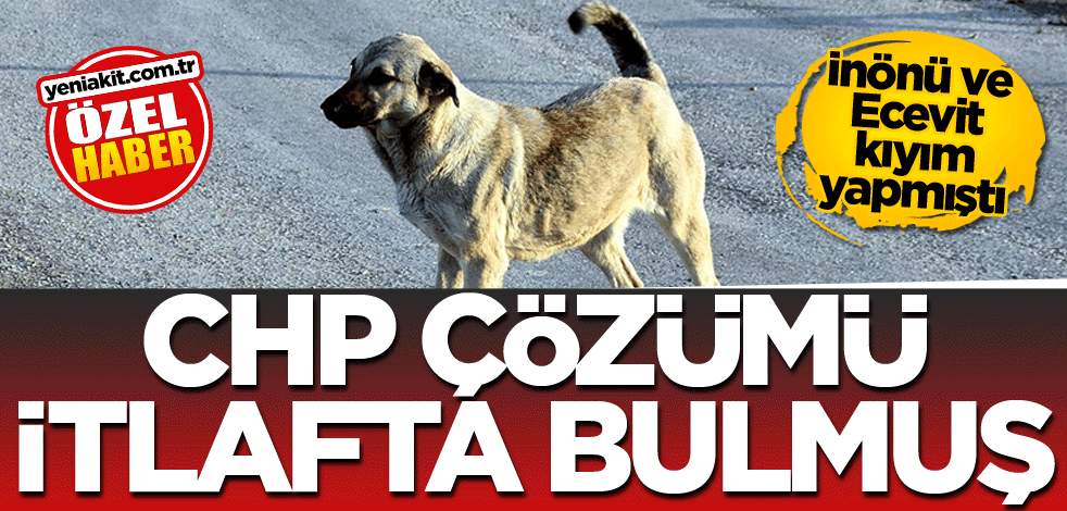 İnönü ve Ecevit kıyım yapmıştı! CHP çözüm itlafta bulmuş