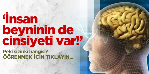 'İnsan beyninin de cinsiyeti var'