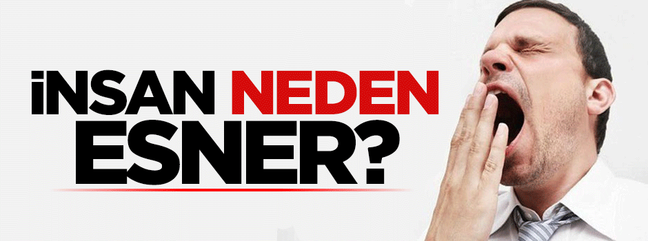 İnsan neden esner?