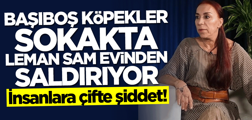 İnsanlara çifte şiddet! Başıboş köpekler sokakta Leman Sam evinden saldırıyor