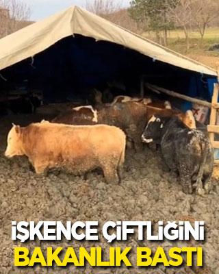İnsanlığın çamura battığı işkence çiftliğini bakanlık bastı!