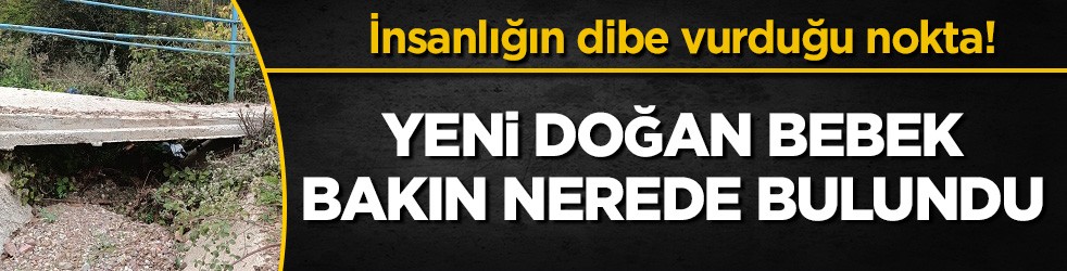 İnsanlığın dibe vurduğu nokta! Yeni doğan bebek bakın nerede bulundu