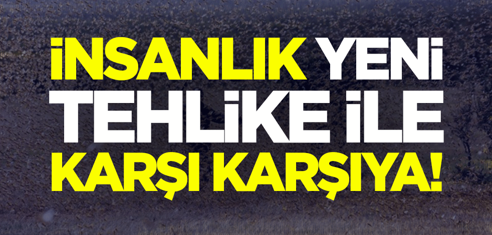 İnsanlık yeni tehlike ile karşı karşıya!