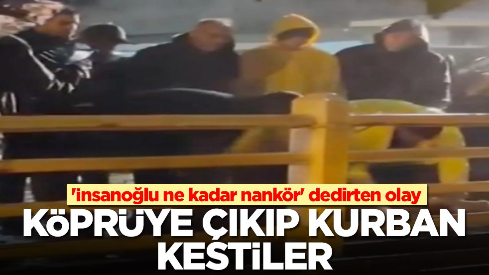 'İnsanoğlu ne kadar nankör' dedirten olay: Köprüye çıkıp kurban kestiler