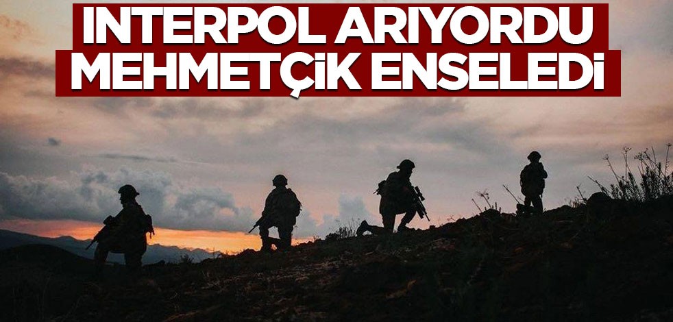 İnterpol arıyordu Mehmetçik enseledi