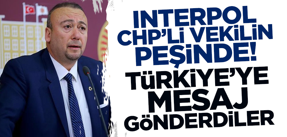 INTERPOL CHP'li vekil için Türkiye'ye mesaj gönderdi! Vergi kaçakçısı çıktı