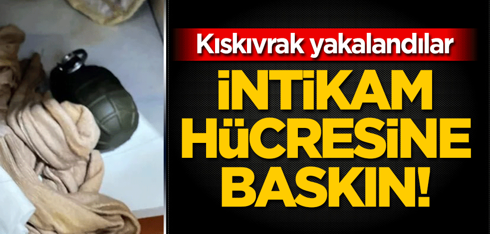 'İntikam Hücresi'ne baskın! Kıskıvrak yakalandılar