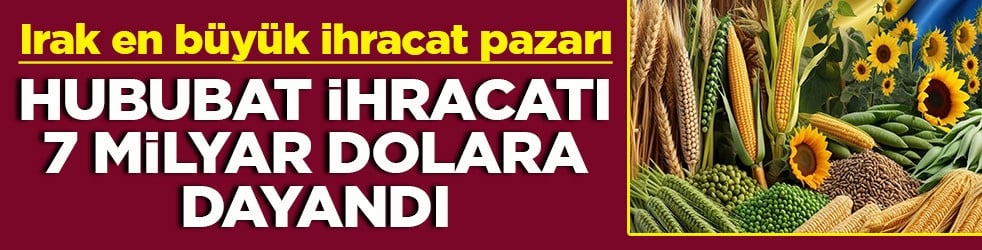 Irak en büyük ihracat pazarı Hububat ihracatı 7 milyar dolara dayandı