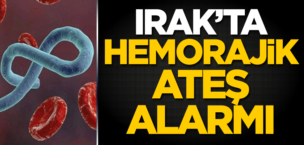 Irak'ta 'Hemorajik ateş' alarmı