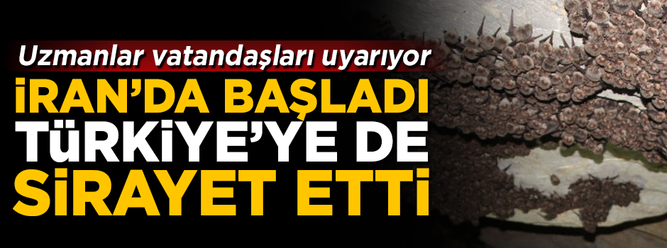 İran'da başladı, Türkiye'ye de sirayet etti! Uzmanlar uyarıyor