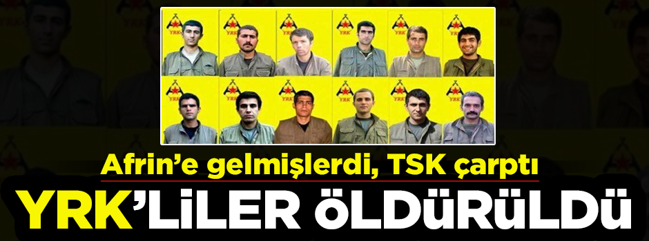 İran'dan Afrin'e gelmişlerdi! TSK teker teker öldürdü