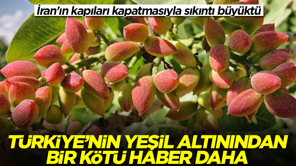 İran'ın kapıları kapatmasıyla sıkıntı büyüktü: Türkiye'nin yeşil altınından şok haber geldi
