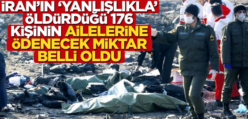 İran'ın yanlışlıkla öldürdüğü 176 kişinin ailelerine ödenecek para belli oldu